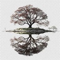 Image result for PSD Tree White