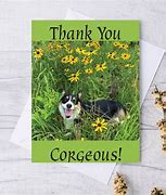 Image result for Thank You Corgi Images