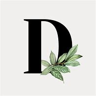 Image result for Letter D Story