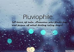 Image result for Cat Rain Quote