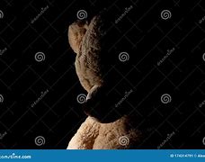 Image result for Teddy Bear Black Background