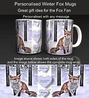 Image result for Fox Common-Sense Mug