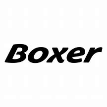 Image result for BMW Boxer Logo