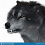 Image result for Dire Wolf Extinct