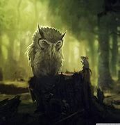 Image result for Wise Owl