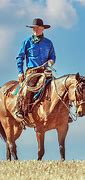 Image result for Riding Bridle