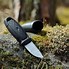 Image result for Morakniv Eldris Kydex Sheath