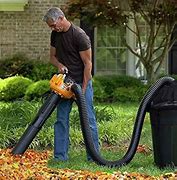 Image result for Leaf Blower and Vacuum