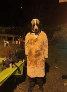 Image result for Cujo Costume for Dog