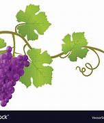 Image result for Grape Vine DXF