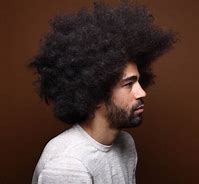 Image result for Men Nature Afro Hair