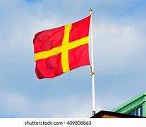 Image result for Skane Flag