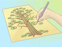 Image result for Draw Your Family Tree