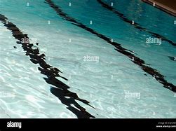 Image result for 2 Lane Swimming Pool