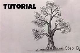 Image result for Tree Sketch