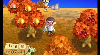 Image result for Animal Crossing New Leaf Items