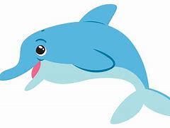 Image result for Dolphine Smile PNG