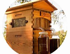 Image result for Honey Bee Hive Flow