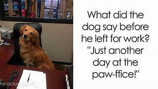 Image result for Pun Dog Jokes