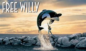 Image result for Free Willy Toys