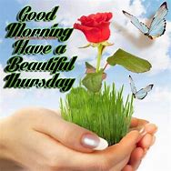 Image result for Beautiful Good Morning Thursday