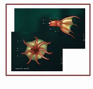 Image result for Vampire Squid Classification Chart