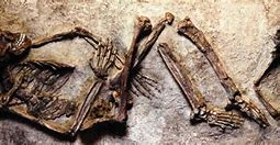 Image result for Oldest Human Skeleton Found