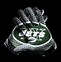 Image result for New York Jets Logo