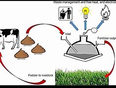 Image result for African Biogas Digester