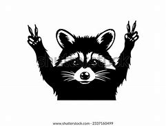 Image result for Raccoon Cue