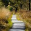 Image result for Long Path