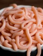 Image result for Cooked Worms