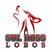 Image result for Sul Ross State University Alpine TX