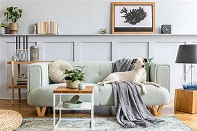 Image result for Mint Green Living Room