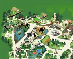 Image result for Whipsnade Zoo Animals List