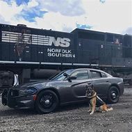 Image result for K9 Police Car