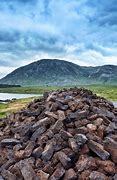 Image result for Peat Plant