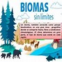 Image result for Ideas De Titulos De Los Biomas