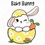 Image result for Cool Rabbit Artwork