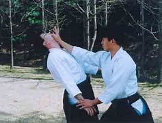 Image result for Aikido Tricks