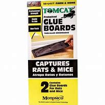 Image result for Tomcat Glue Boards