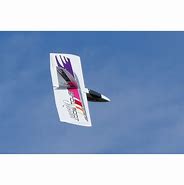 Image result for Skibot Wing