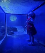 Image result for East Idaho Aquarium