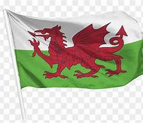 Image result for A4 Book Wales Flag