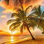 Image result for Tropical Beach 4K