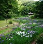 Image result for Meiji Jingu Park