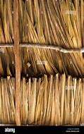 Image result for Palm Thatch Roof