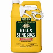 Image result for Stink Bug Catcher