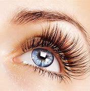 Image result for Eyelash Images