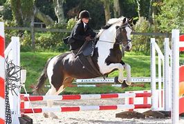 Image result for Side Saddle Show Jumping